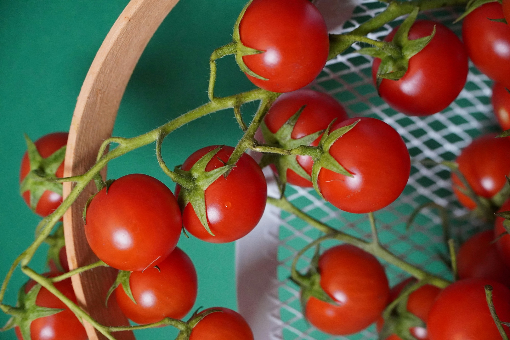 Никогда не храните помидоры в холодильнике - фотография № 2