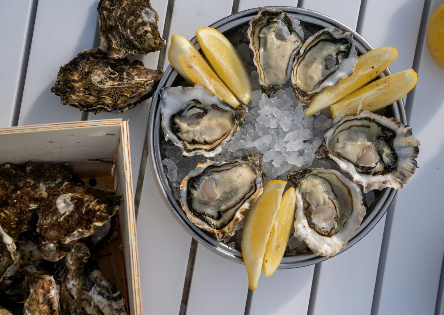 Специальное предложение на устрицы в ресторане Nordic - фотография № 1