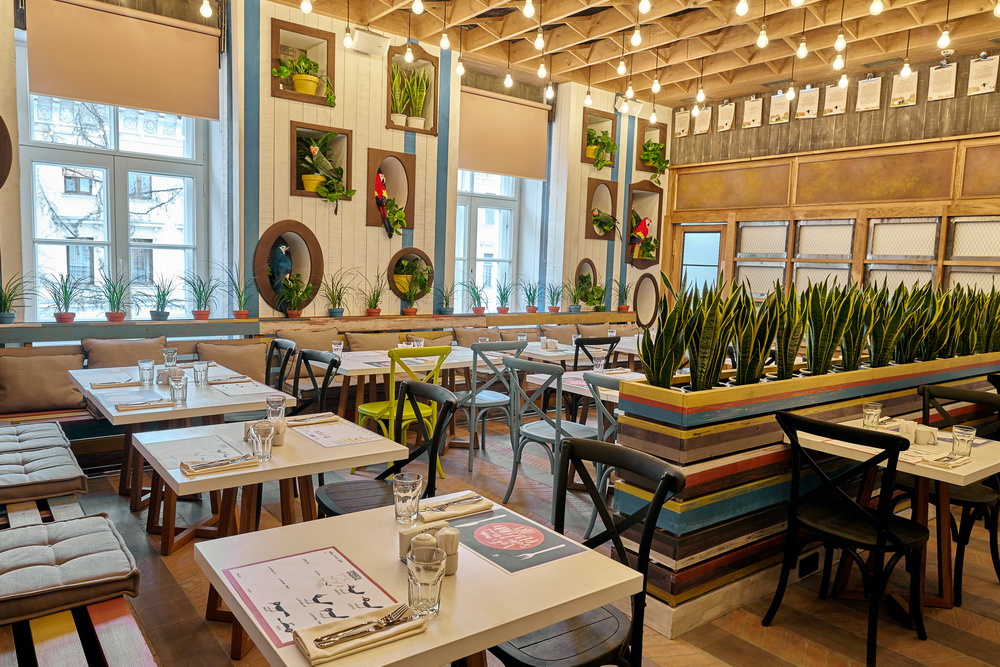 Живая скрипка и вокал - фотография № 1