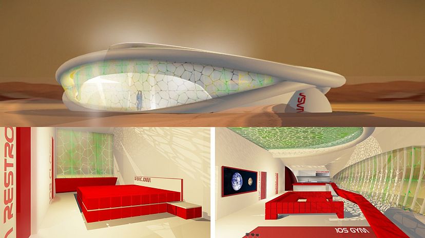 NASA Red House дома из грибов дома на Марсе дома на Луне дом из грибного мицелия