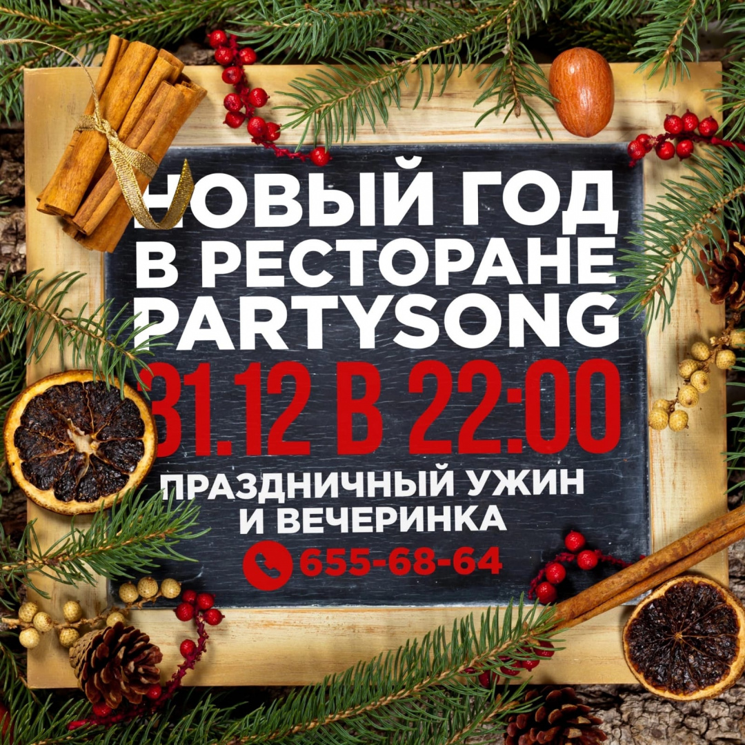 Partysong / Патисонг - фотография № 1