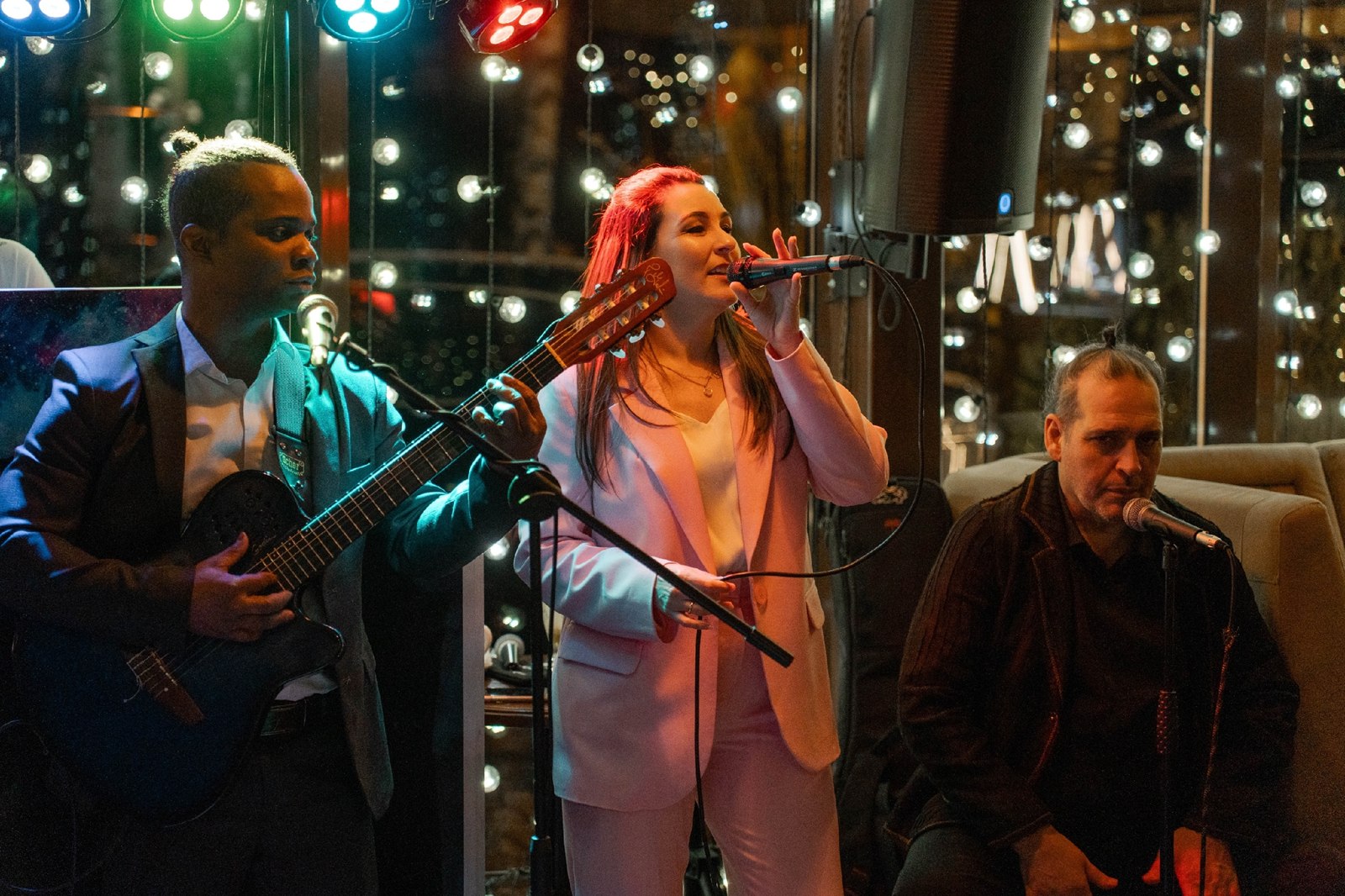 Музыкальный вечер - фотография № 1