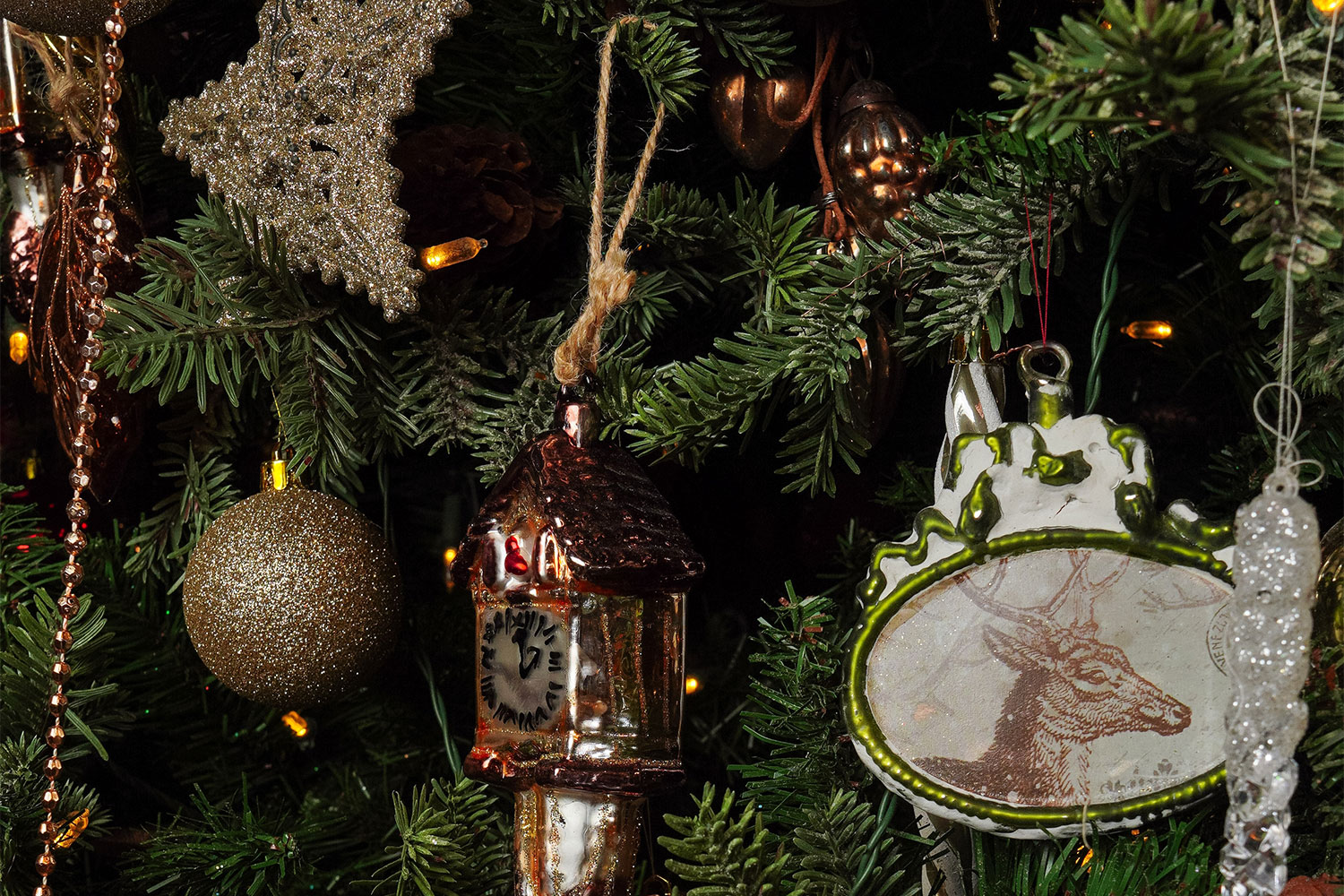 Mymoon / Маймун