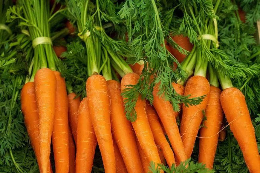 продукты полезные для кожи косметология