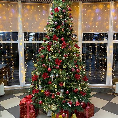 Фото Терраса бар