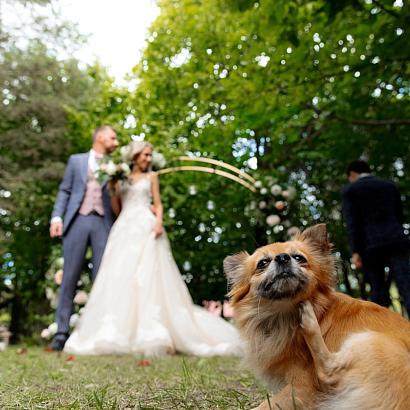 Фото Усадьба Кобрино