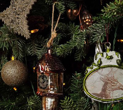 Mymoon / Маймун