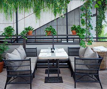 Mymoon / Маймун