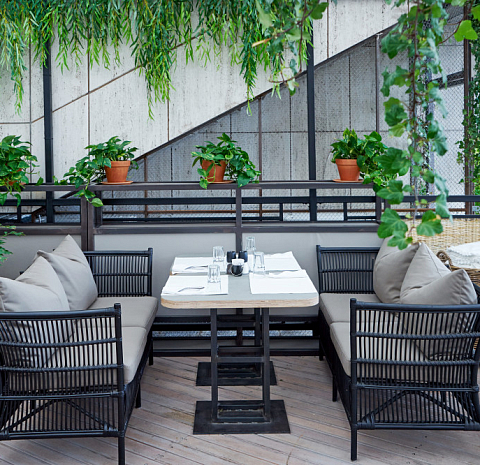 Mymoon / Маймун