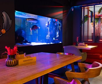 Меконг / Mekong