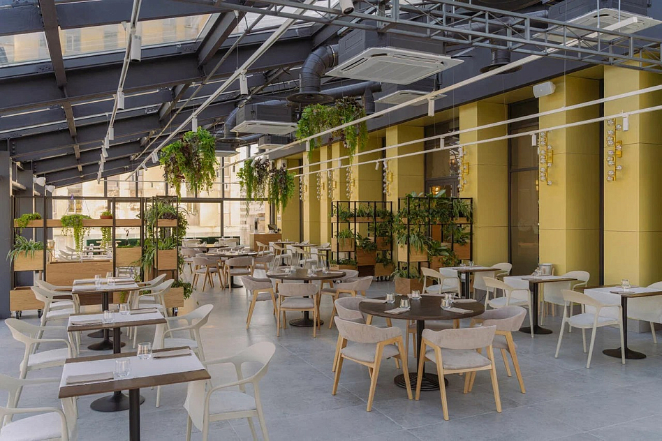 Луч - фотография № 6