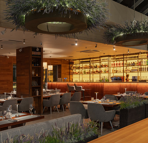 Терраса (Ginza Project)