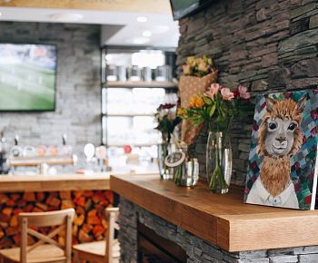 Chalet Alpaca / Шале Альпака (закрыт)