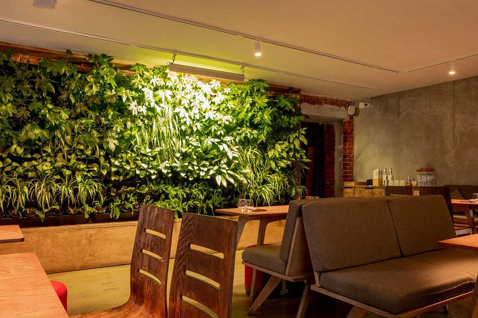 Юи - фотография № 2