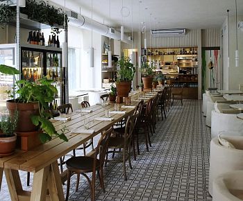 Анималс / Animals