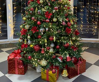 Терраса бар