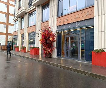 Пуси Лебеди