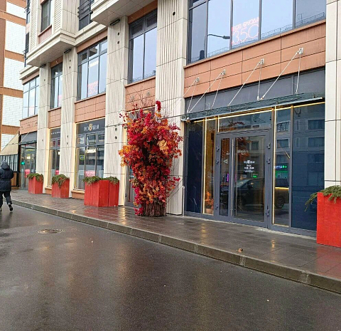 Пуси Лебеди 