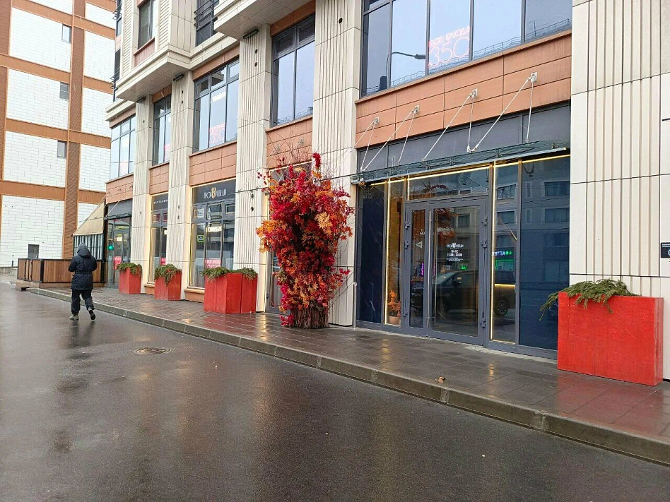 Пуси Лебеди - фотография № 1