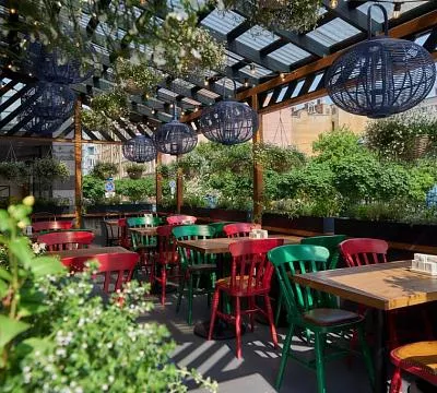 Mamalыga Bar