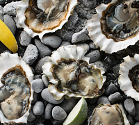 Находка Seafood&Bar (закрыт) фото 6