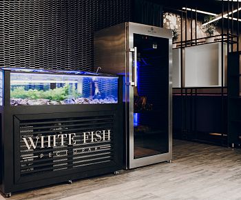 White Fish (закрыт)