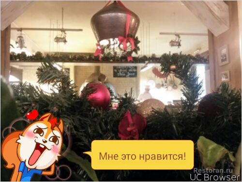 Фото из ресторана Мамалыга (на Ленинском) № 5