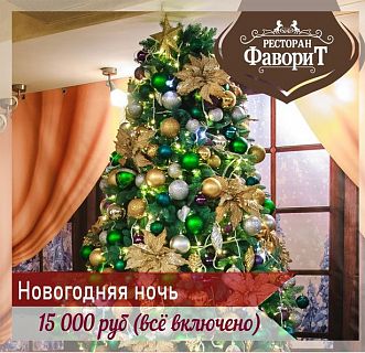 Новогодняя ночь в ресторане Фаворит