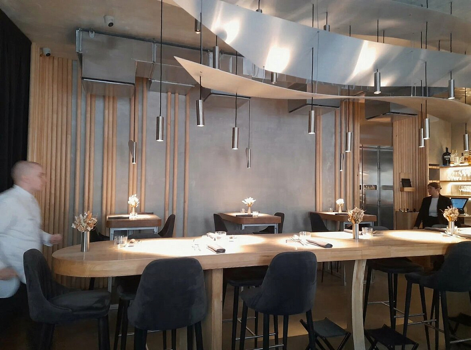 Birch - фотография № 4