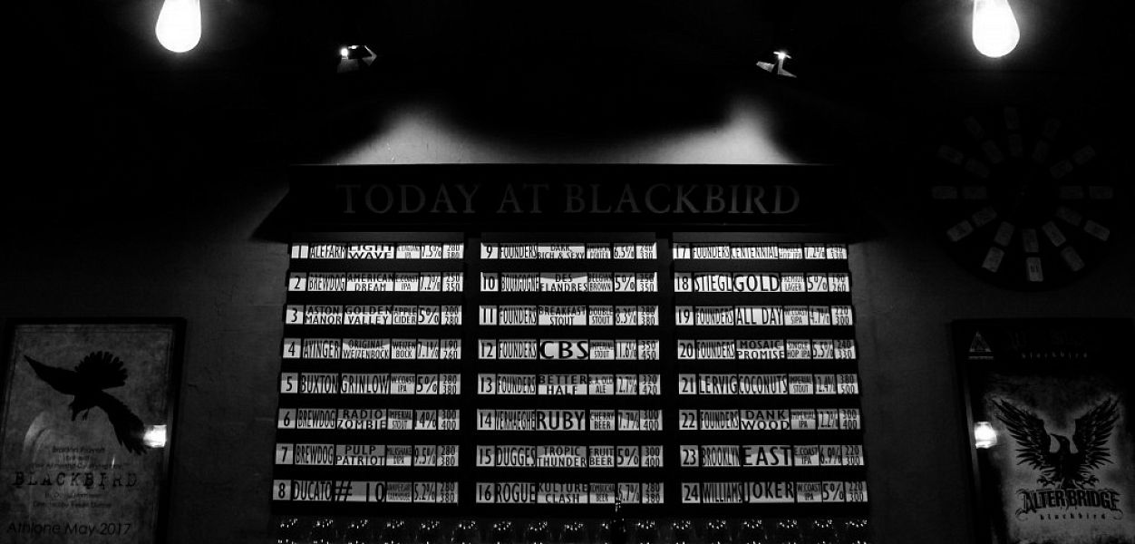 Blackbird / Блэкберд - фотография № 9
