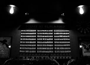 Blackbird / Блэкберд фото 12