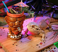Lizards bar (закрыт) фото 7