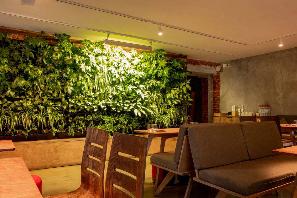 Юи - фотография № 6