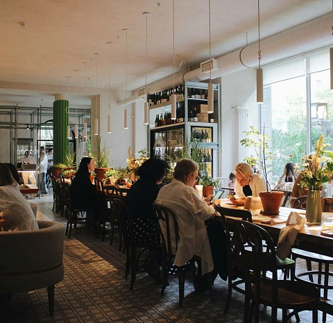 Анималс / Animals