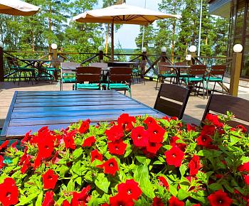 Терраса бар