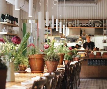 Анималс / Animals