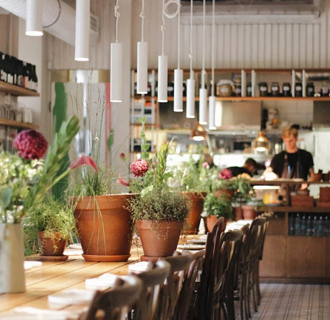 Анималс / Animals