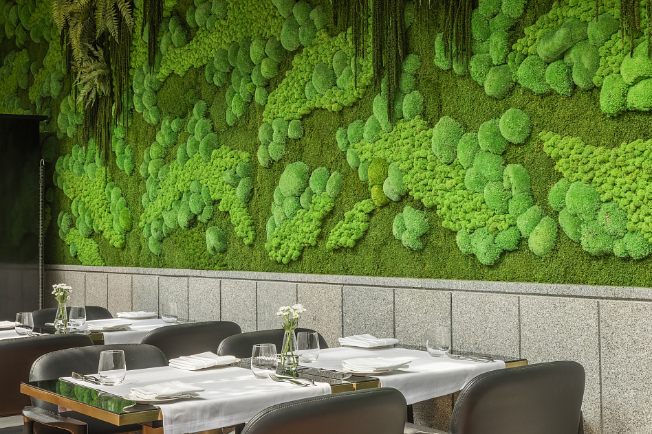 Нок / Nok - кухня европейская