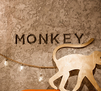 Monkey (закрыт) фото 6
