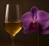 Эногастрономический ужин Loco Cimbali