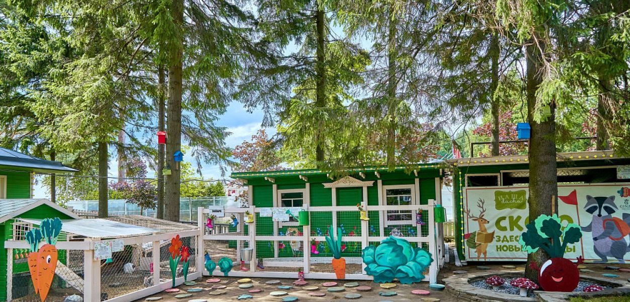 Наша Dacha - фотография № 11