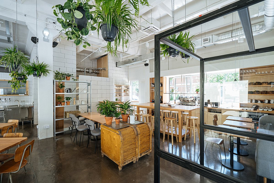 Футура - фотография № 2