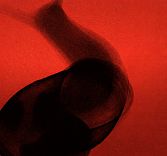 Гостевая смена «У Сержа» / Chez Serge