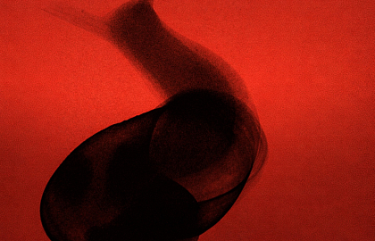 Гостевая смена «У Сержа» / Chez Serge