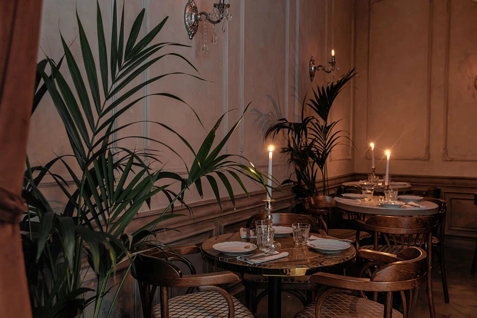 Медведь - фотография № 2