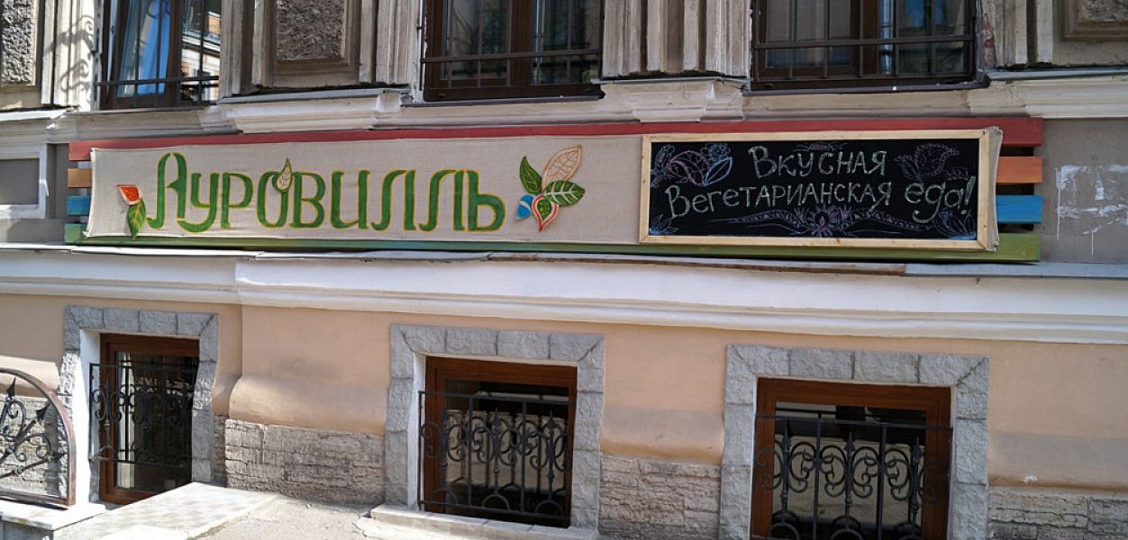 Ауровилль (временно закрыт) - фотография № 9