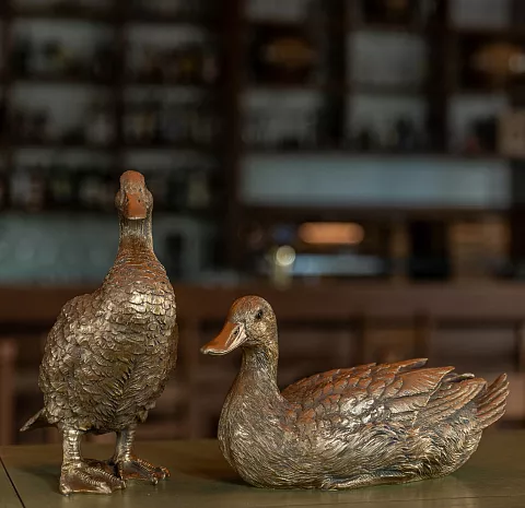 Duck&Drake