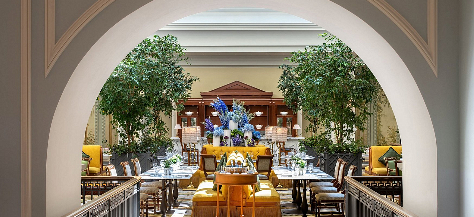 Tea Lounge - фотография № 6