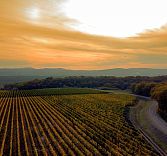 Винный ужин, хозяйство «Раевское»