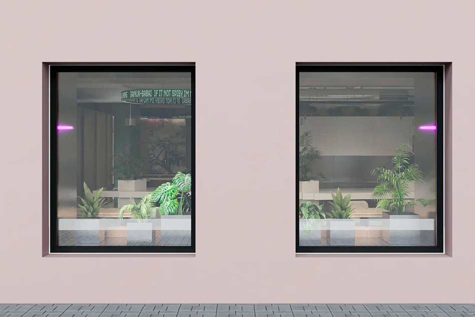 Chang - фотография № 3